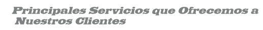 Principales Servicios que Ofrecemos a Nuestros Clientes